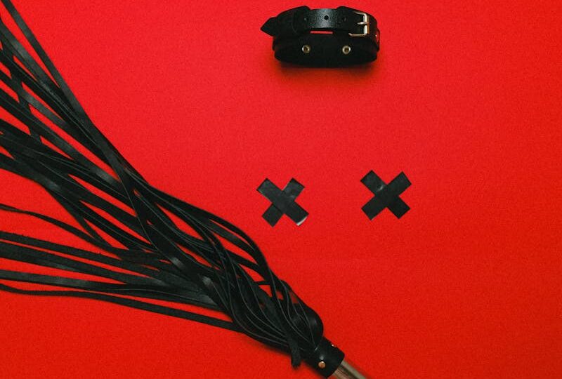 Leather Whip on Red Background